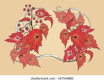 Flower background with begonia plant