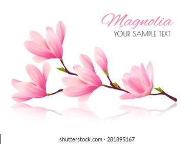 Flower background with blossom branch of pink magnolia. Vector