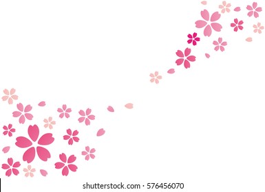 Flower background card, cherry blossom or sakura