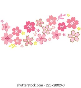 Fondo de las flores, flor de cerezo o sakura