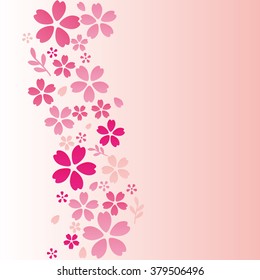 Flower background, cherry blossom or sakura