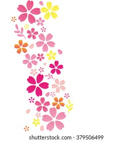 Flower background, cherry blossom or sakura