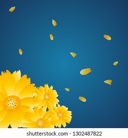 Flower Background, Chrysanthemum, Petals 