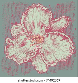 flower and background, engraved vintage style. vector illustration
