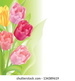 Flower background. Floral spring border. Tulips vector bouquet.