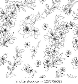 
Flower background. Outline hand drawing vector illustration black and white color.