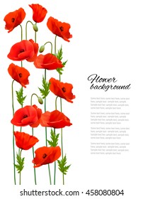 Flower background with poppies. Vector.