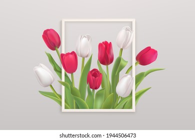 Fondo de flores con tulipanes blancos y rojos realistas en un marco blanco para cualquier celebración. Diseño primaveral. Ilustración del vector