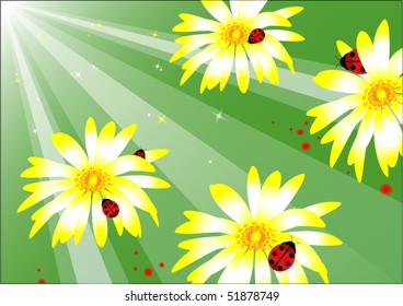 flower background with red ladybird