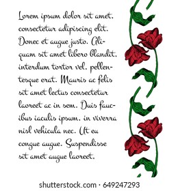 Flower background for text. Hand drawn colored tulip seamless border. Ink pen sketch style vector illustration. Spring flower.