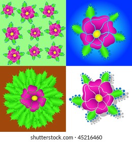 flower in the background, textures, and shown as a cactus flower