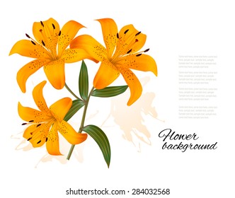 Flower Background With Three Beautiful Lilies. Vector.