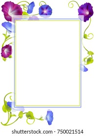 Flower background. Vector illustration. Bindweed. Convolvulus. Frame.