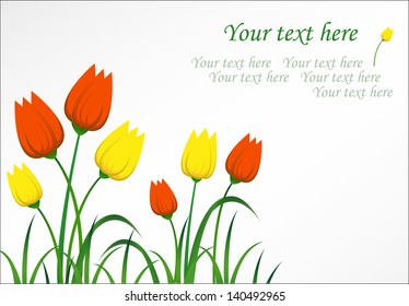 Flower background. Vector illustration of tulips