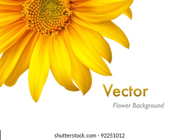 Flower background. Vector sunflower