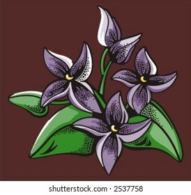 Flower Backgrounds Series. Check my portfolio for much more of this series as well as thousands of similar and other great vector items.