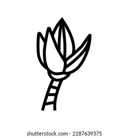 Blumenbanane-Linie Symbol Vektorgrafik. Blumenschild für Bananen. isoliertes Kontursymbol