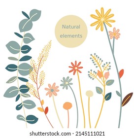 Flower banner or floral element decorated with gorgeous multicolored blooming flowers and leaves border. Spring botanical flat vector illustration on white background in simple style