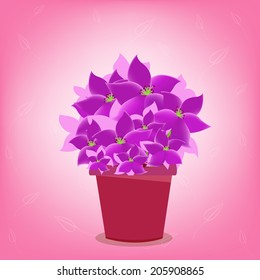 Flower beautiful pot