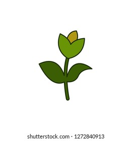 flower beauty cartoon floral garden summer illustration concept design 