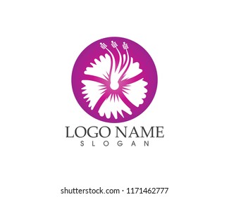 Flower beauty spa logo design vector illustration