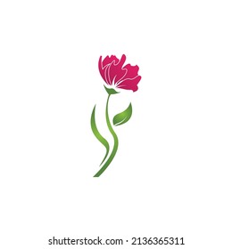 Flower beauty spa logo vector illustration