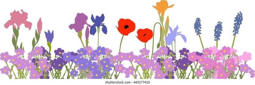 Flower bed with poppies, irises and other spring flowers