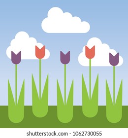 Flower bed with tulips and grass under blue sky with clouds - vector flat design