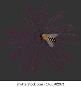 Flower bee on grey background. Vector design illustration. Vector floral background. Isolated illustration. Insect illustration. Spring floral background. Vector insects
