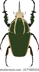 flower beetles is among the largest  in the world. It reaches about 55–85 millimetres (2.2–3.3 in) of length in the males. 