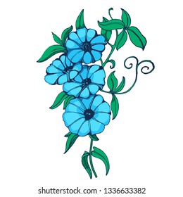 flower bindweed isolated on white background vector, hand drawing
