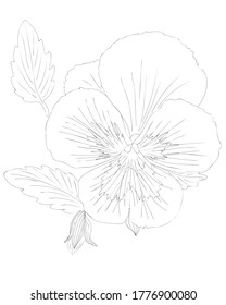 Flower black line contour for coloring book or page. Flower coloring.