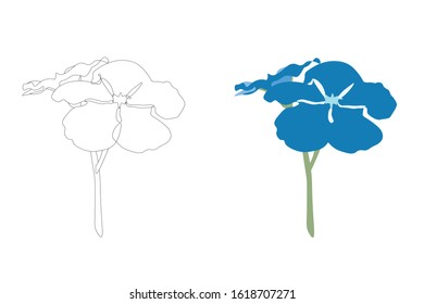 Flower Black Line Drawing and Blue tones