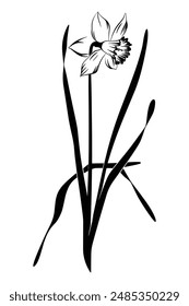 A flower black Silhouette vactor.