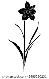 A flower black Silhouette vactor.
