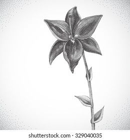 Flower. Black and white Dotwork. Vintage engraved illustration style.