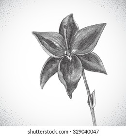 Flower. Black and white Dotwork. Vintage engraved illustration style.