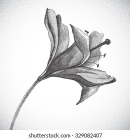 Flower. Black and white Dotwork. Vintage engraved illustration style.