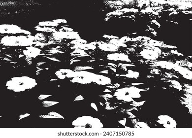 Flower black and white texture vector illustration image overlay monochrome grunge background texture