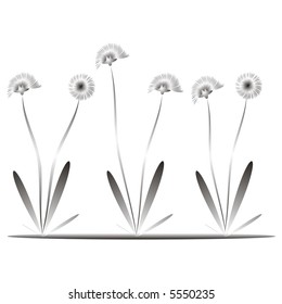 Flower in black-white