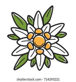 Flower bloom Australian nature plant vector flat isolated icon