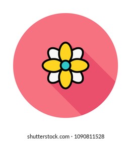 flower bloom nature 