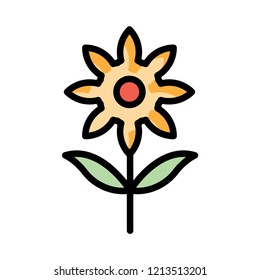 flower  bloom  nature 