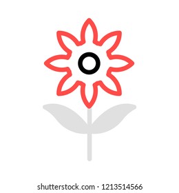 flower  bloom  nature 