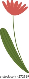 Florece en un tallo alto con una sola hoja larga, Formas limpias y sombreado suave. Símbolo de crecimiento, naturaleza, frescura, sentimiento de primavera y belleza botánica. Ilustración vectorial de dibujos animados.