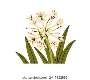 Flower bloom. Summer floral plant with leaf and buds. Delicate gentle African lily, Agapanthus orientalis. Beautiful wildflower. Botanical natural flat vector illustration isolated on white background svg