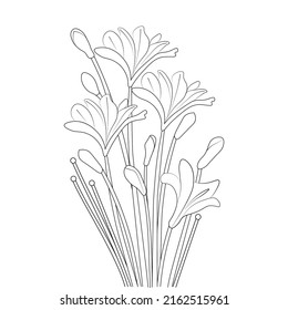 flower blooming coloring page with hand drawn line art design on black background