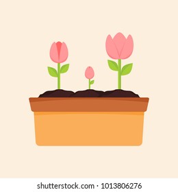 Flower Blooming Garden Vector Illustration Graphic Design