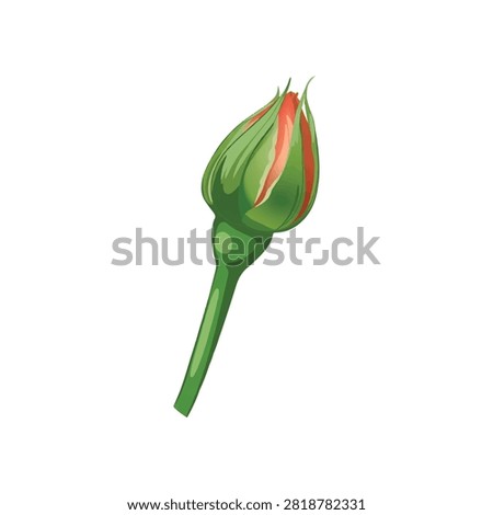 flower is in blooming here