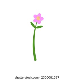 Flores floreciendo en primavera y verano sobre fondo blanco. (estacional, parque, jardín, planta, floral, floreciente en primavera, verano, al aire libre)
